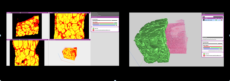  Deep Learning Add-on 